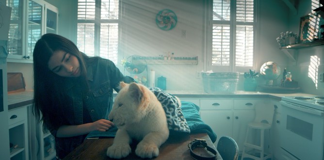 Lena and Snowball parents guide