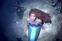 The Little Mermaid The Little Mermaid