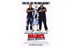 Malibu’s Most Wanted (2003) parents guide