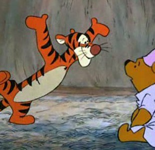 The Many Adventures Of Winnie The Pooh