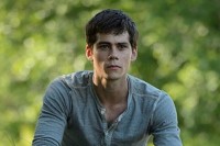 The Maze Runner