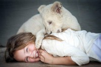 Mia and the White Lion Mia and the White Lion