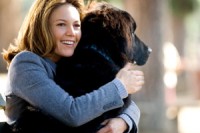 Must Love Dogs