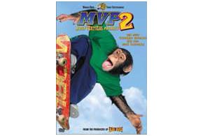 MVP2: Most Vertical Primate