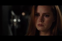 Nocturnal Animals Nocturnal Animals