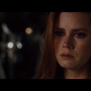 Nocturnal Animals