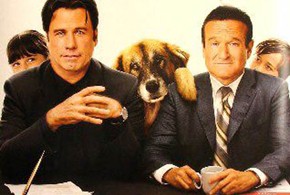 Old Dogs