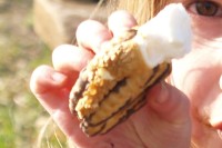 Celebrate the Glorious Gooeyness of National S’More Day