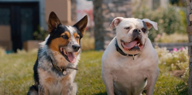 Pups Alone parents guide