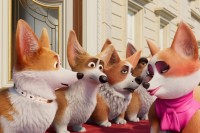 The Queen’s Corgi