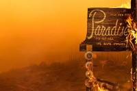 Rebuilding Paradise