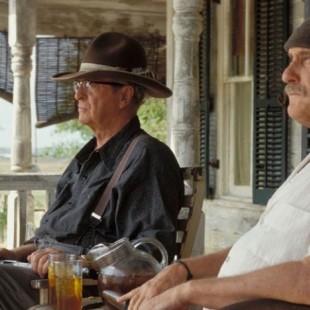 Secondhand Lions