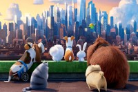 The Secret Life of Pets 2 The Secret Life of Pets 2