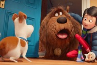 The Secret Life of Pets The Secret Life of Pets