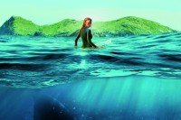 The Shallows The Shallows