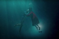 The Shape of Water The Shape of Water