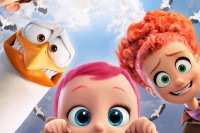 Storks Storks