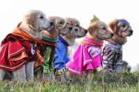 Super Buddies Super Buddies