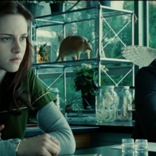 Twilight