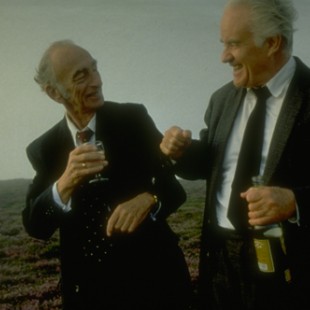 Waking Ned Devine