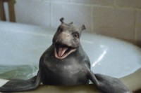 The Water Horse: Legend of the Deep The Water Horse: Legend of the Deep