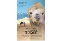 The Story of the Weeping Camel
