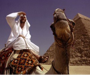 Where in the World is Osama Bin Laden parents guide