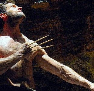 The Wolverine