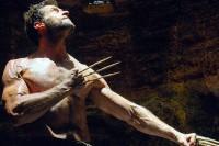 The Wolverine The Wolverine