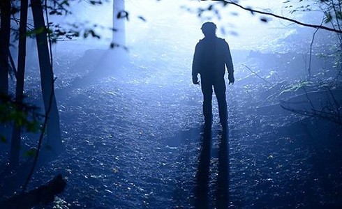 Wolves parents guide