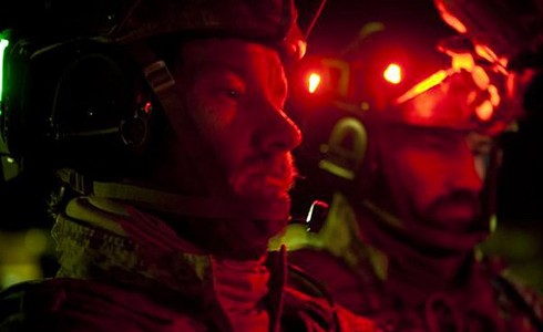 Zero Dark Thirty parents guide
