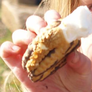 Celebrate the Glorious Gooeyness of National S’More Day