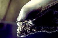 Alien Anthology