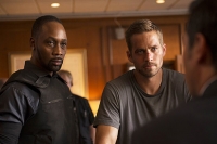 Brick Mansions