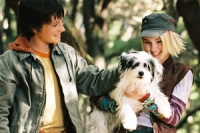 Bridge to Terabithia