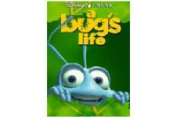 A Bug’s Life