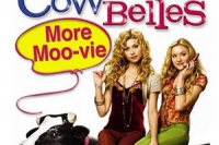 Cow Belles