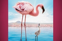 Crimson Wing: Mystery of the Flamingos