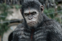 Dawn of the Planet of the Apes