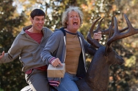 Dumb and Dumber To