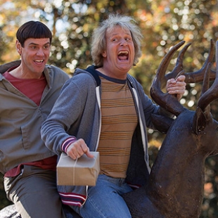Dumb and Dumber To