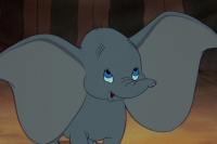 Dumbo