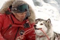 Eight Below