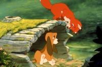 The Fox And The Hound