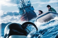 Free Willy 3: The Rescue