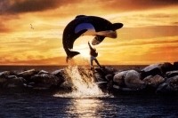 Free Willy