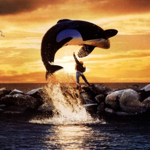 Free Willy