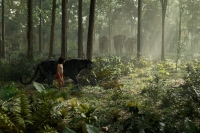 The Jungle Book (2016)