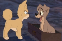 Lady And The Tramp 2: Scamp’s Adventure