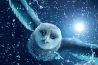 Legend of the Guardians: The Owls of Ga’Hoole